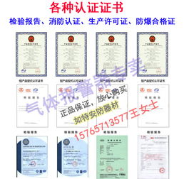 甲烷氣體濃度報警器與可燃氣體監(jiān)控系統(tǒng) 網(wǎng)絡(luò)技術(shù)服務(wù)賦能工業(yè)安全新高度